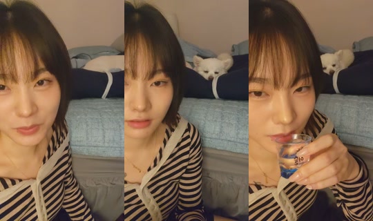 kgodms11's Stream - Aug 9, 2026, 12:08 PM