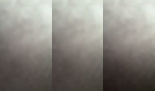 812243699's Stream - Jul 19, 2026, 11:14 AM