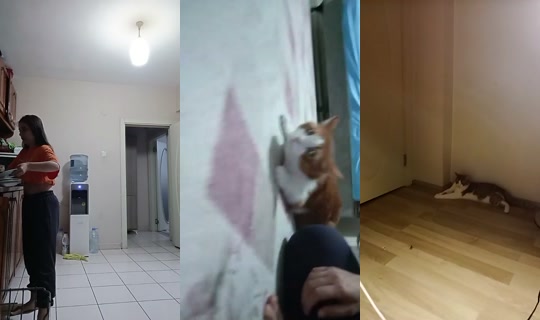 944395414's Stream - Jul 21, 2026, 6:55 PM