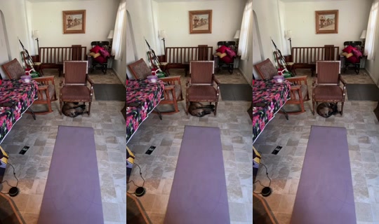 PD3696969's Stream - Aug 18, 2026, 4:56 PM