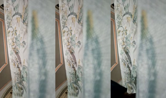 hanninha Recorded on Aug 26, 2026, 12:50 AM