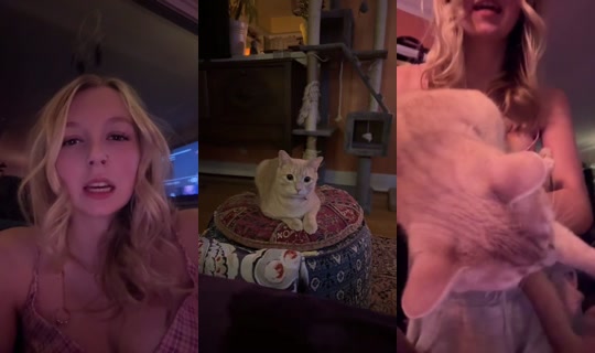lilyirl's Stream - Jul 19, 2026, 3:56 AM