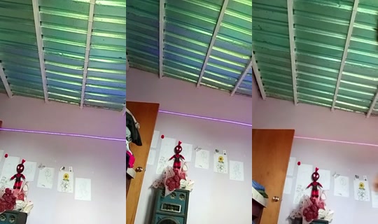 1888230211867565057 Recorded on Aug 12, 2026, 9:04 PM