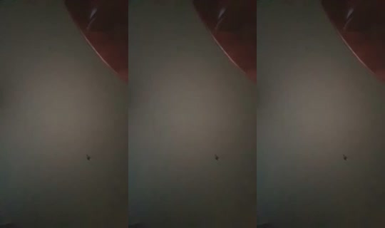 2067648447897808897's Stream - Jul 9, 2026, 7:15 PM