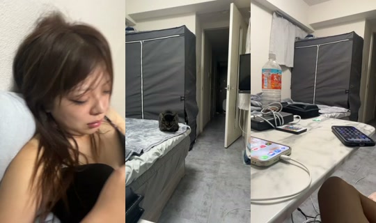 hoshishibuya's Stream - Jul 21, 2026, 6:29 AM