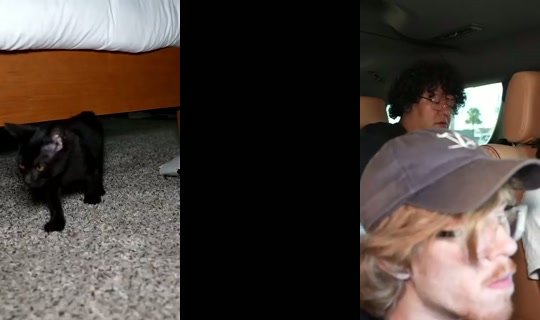 kaneljoseph's Stream - Aug 16, 2026, 10:22 PM