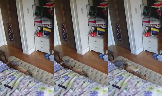 poppypnw Recorded on Jul 21, 2026, 7:39 PM