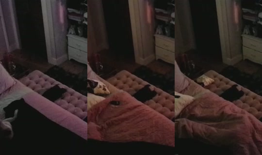poppypnw's Stream - Aug 23, 2026, 8:48 AM
