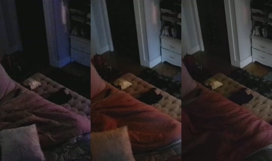 poppypnw's Stream - Aug 23, 2026, 1:02 PM