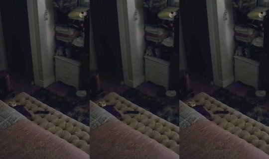 poppypnw 录制于 2026年8月24日 4:25