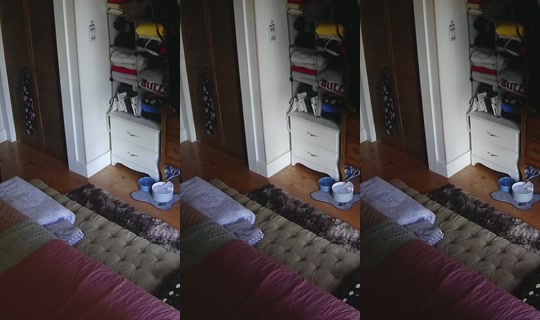poppypnw's Stream - Aug 25, 2026, 12:06 AM