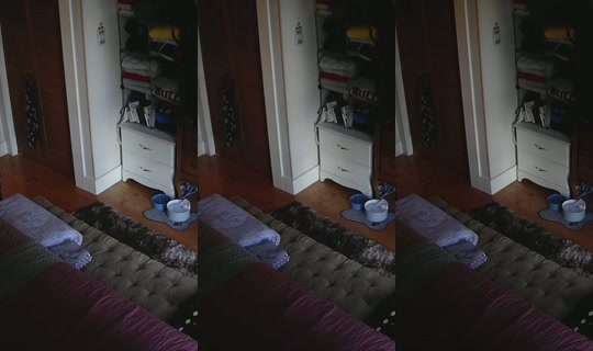poppypnw's Stream - Aug 25, 2026, 1:47 AM