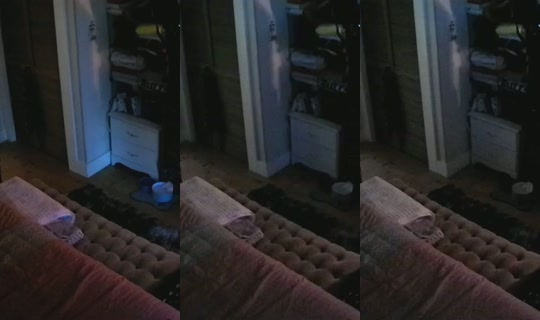 poppypnw's Stream - Aug 25, 2026, 3:28 AM