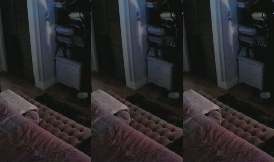 poppypnw's Stream - Aug 25, 2026, 6:00 AM