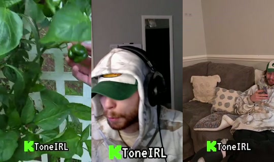 toneirl's Stream - Aug 23, 2026, 11:48 PM