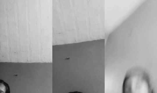 mano.09534's Stream - Jul 17, 2026, 4:10 PM