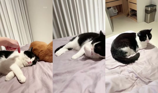209209's Stream - Jul 9, 2026, 2:33 PM