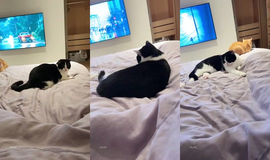 209209's Stream - Jul 11, 2026, 1:04 PM