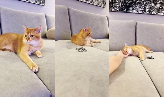 209209's Stream - Jul 14, 2026, 1:34 PM