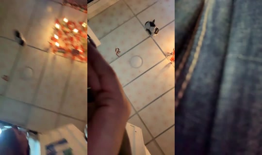 1903138620778092545's Stream - Jul 18, 2026, 1:59 AM
