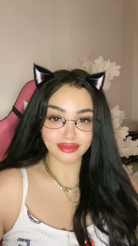 70133837