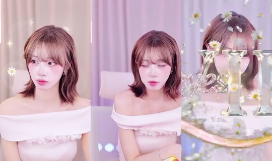 Daisy00's Stream - Jul 19, 2026, 11:49 AM