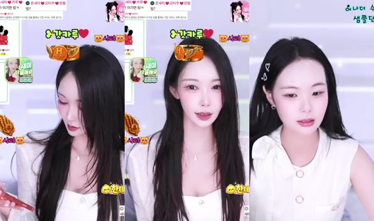 qwer7088's Stream - Aug 23, 2026, 1:17 PM