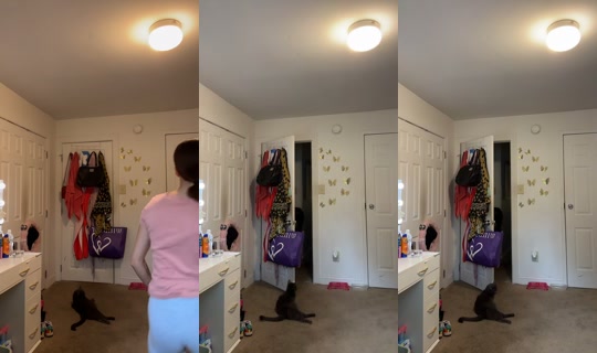 1xrican__'s Stream - Jul 21, 2026, 2:16 PM