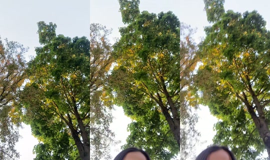 _.an3t's Stream - Aug 13, 2026, 5:43 PM