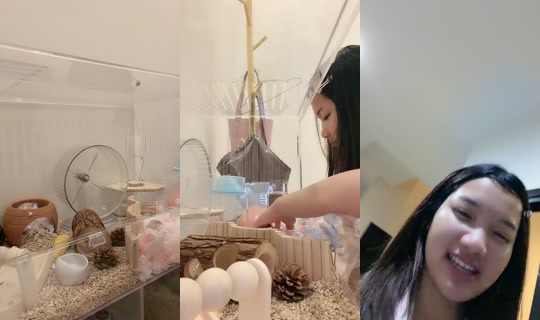 _jaophakbung's Stream - Aug 21, 2026, 8:42 PM