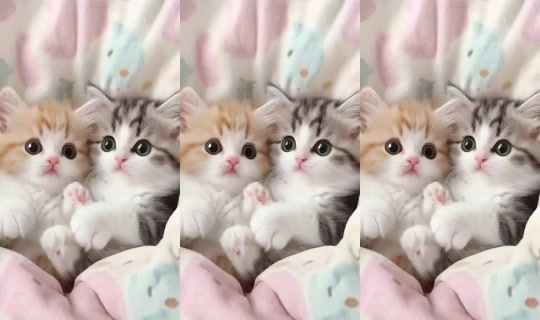 aazz7605's Stream - Aug 21, 2026, 10:02 PM