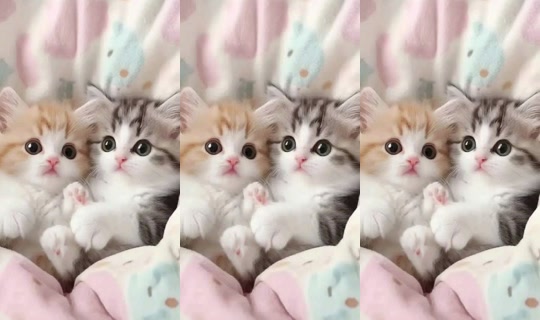 aazz7605's Stream - Aug 21, 2026, 10:53 PM