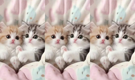 aazz7605's Stream - Aug 23, 2026, 11:41 PM