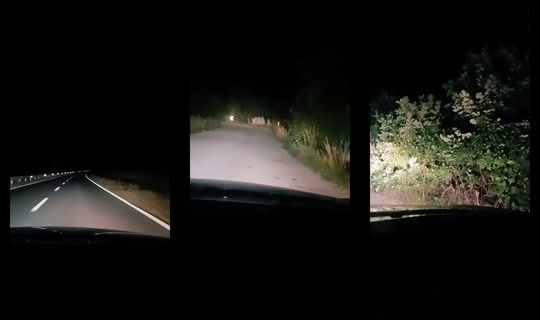 an79413's Stream - Jul 9, 2026, 10:37 PM