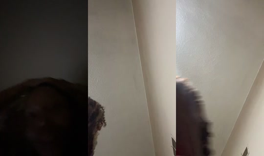 carterrose's Stream - Aug 23, 2026, 11:34 AM