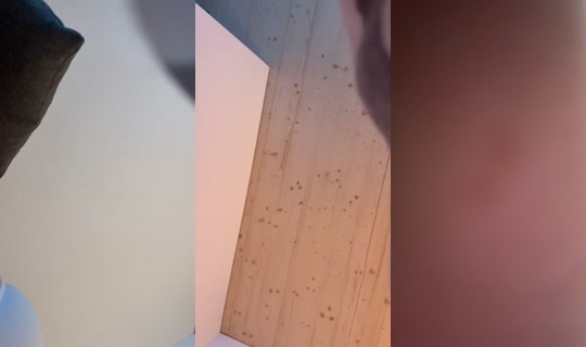 cataley_aaaa's Stream - Aug 14, 2026, 9:30 PM