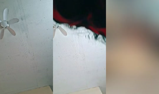 catalinaclassteam's Stream - Aug 19, 2026, 9:09 PM