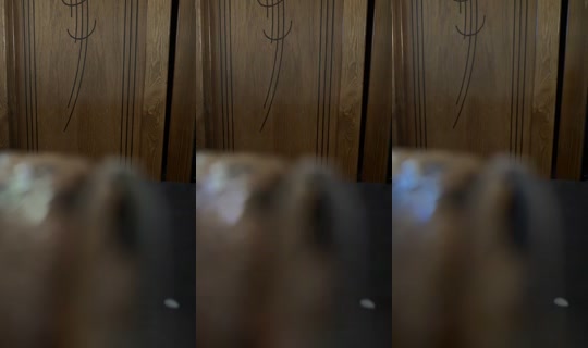 chi5akobra's Stream - Jul 6, 2026, 10:53 AM