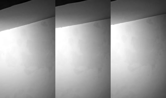 dantizaap4534's Stream - Jul 25, 2026, 10:15 AM