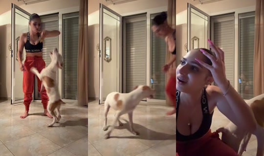 evelina.dmsh's Stream - Jul 19, 2026, 12:04 AM
