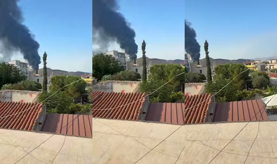 evelina.dmsh Gravado em 25 de ago. de 2026, 14:25