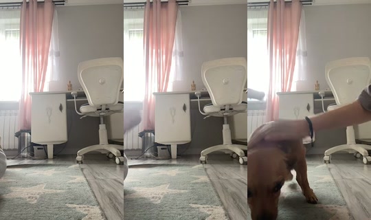 fuzzy.pawsss's Stream - Aug 22, 2026, 10:51 AM