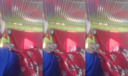 gavi28526's Stream - Jul 21, 2026, 12:50 PM