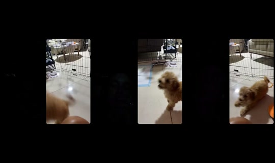 jennychallita's Stream - Jul 21, 2026, 6:04 PM