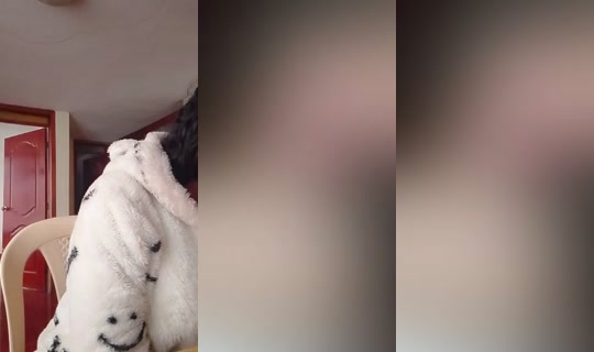 julissaymelissa's Stream - Aug 13, 2026, 8:33 PM