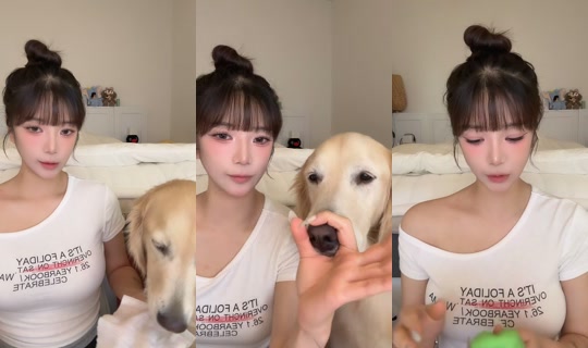 k__xiin's Stream - Aug 24, 2026, 6:11 AM