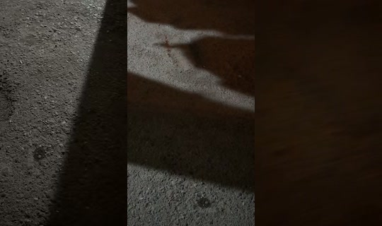 kenaann999's Stream - Aug 3, 2026, 8:03 PM