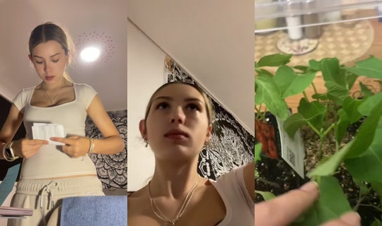 Live de kodaaxo_ - 21 de jul. de 2026, 8:40