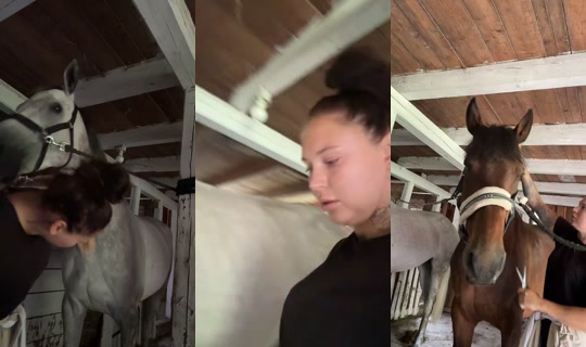 lindasihvolase's Stream - Jul 25, 2026, 10:46 AM