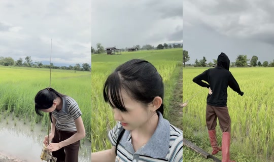 mejiii23's Stream - Aug 11, 2026, 8:04 AM